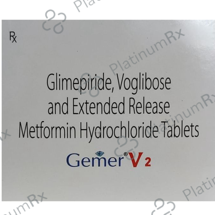 GEMER V2-https://media.vyaparify.com/vcards/products/217041/product_1746702323_681c8ff3187f6.png Image