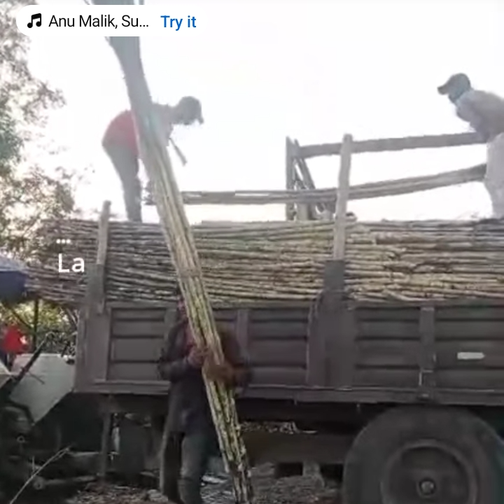 Vikash fruits-https://media.vyaparify.com/vcards/products/217857/product_1746708056_681ca658cd278.png Image