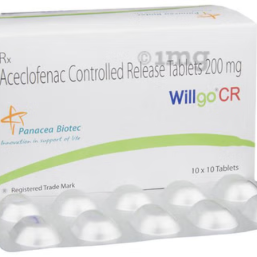 WILLGO CR-https://media.vyaparify.com/vcards/products/235164/product_1747388083_682706b3711ed.png Image