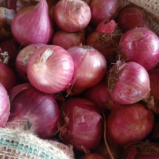 Onion-https://media.vyaparify.com/vcards/products/241263/product_1747635126_682acbb695e64.png Image