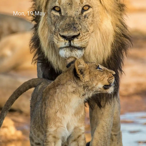 Bike repair-https://media.vyaparify.com/vcards/products/243064/product_1747655477_682b1b350f2f8.png Image