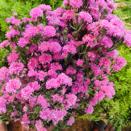 Maruti bhorekar-https://media.vyaparify.com/vcards/products/244333/product_1747721260_682c1c2c8370d.png Image