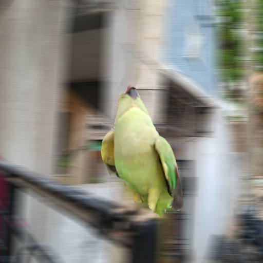 Pet Shop-https://media.vyaparify.com/vcards/products/244760/product_1747724419_682c2883bc984.png Image