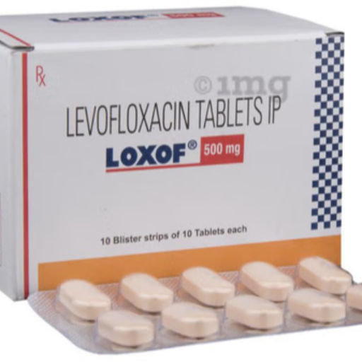 LOXOF 500-https://media.vyaparify.com/vcards/products/249765/product_1747897780_682ecdb49c8b5.png Image