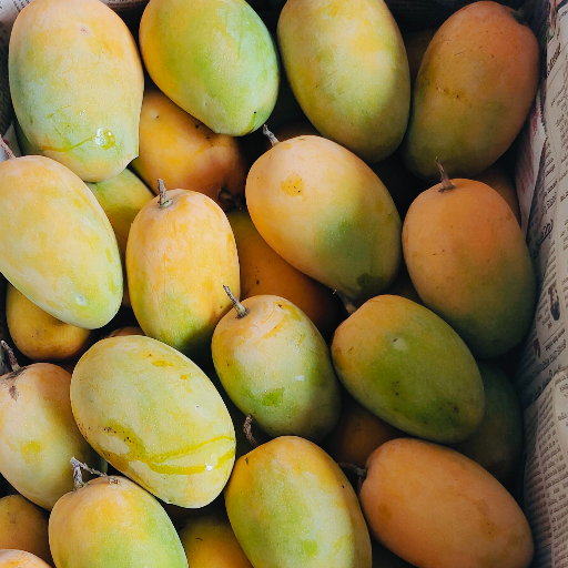 Mongo-https://media.vyaparify.com/vcards/products/249782/product_1747899113_682ed2e9b2bbc.png Image