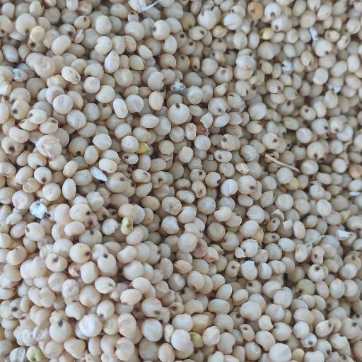 Jauvri-https://media.vyaparify.com/vcards/products/250296/product_1747911105_682f01c156b1d.png Image