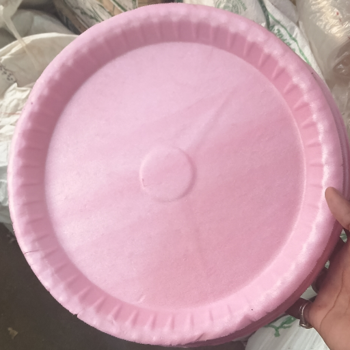 Disposal Plate-https://media.vyaparify.com/vcards/products/250778/product_1747918723_682f1f83c0a21.png Image