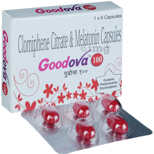 GOODOVA 100-https://media.vyaparify.com/vcards/products/252835/product_1747990184_683036a8563a1.png Image