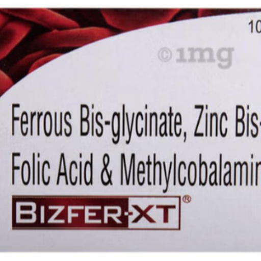 BIZFER XT-https://media.vyaparify.com/vcards/products/256647/product_1748162567_6832d807376f7.png Image