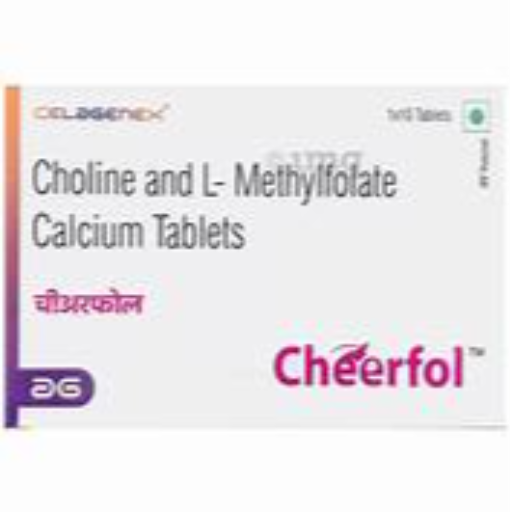 CHEERFOL-https://media.vyaparify.com/vcards/products/256676/product_1748167121_6832e9d16b13b.png Image
