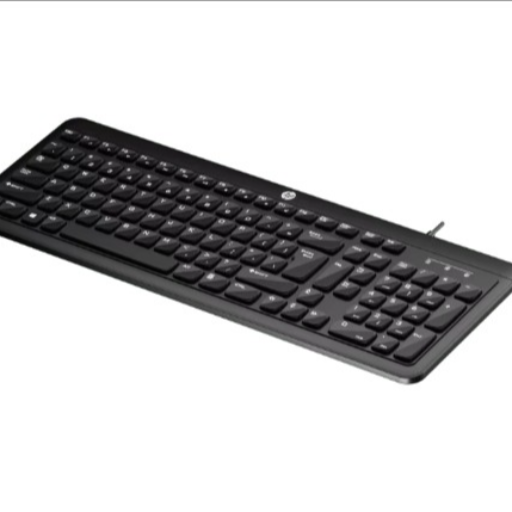 HP K160 USB Keyboard (9Z4V7AA#ACJ)-https://media.vyaparify.com/vcards/products/257798/product_1748242199_68340f17e4dec.png Image