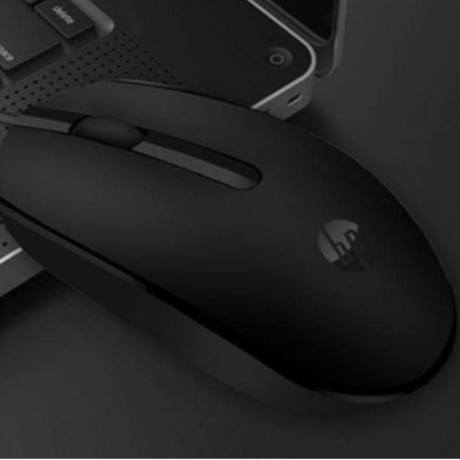 HP M10 USB Wired Mouse – 1000 DPI Optical Tracking-https://media.vyaparify.com/vcards/products/257936/product_1748244298_6834174a86ac7.png Image