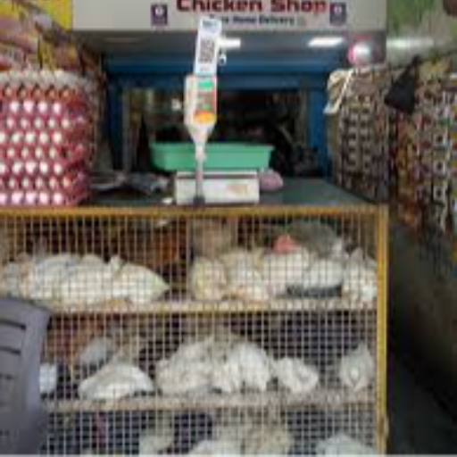 KGN CHICKEN CENTER-https://media.vyaparify.com/vcards/products/258418/product_1748251384_683432f825612.png Image