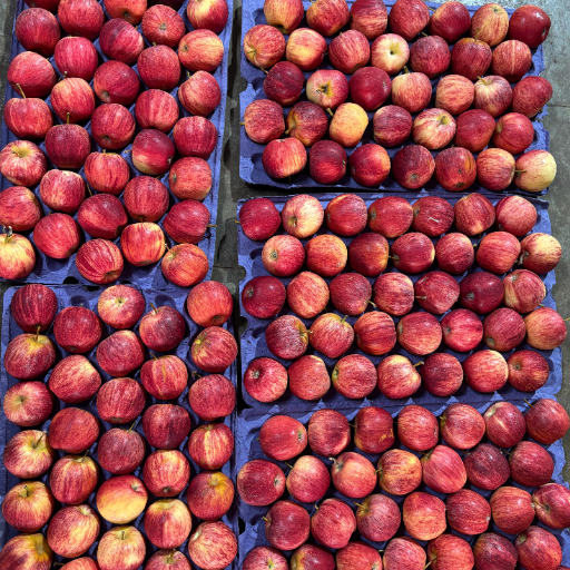 Ashok Kumar-https://media.vyaparify.com/vcards/products/264537/product_1748585278_68394b3e827f2.png Image