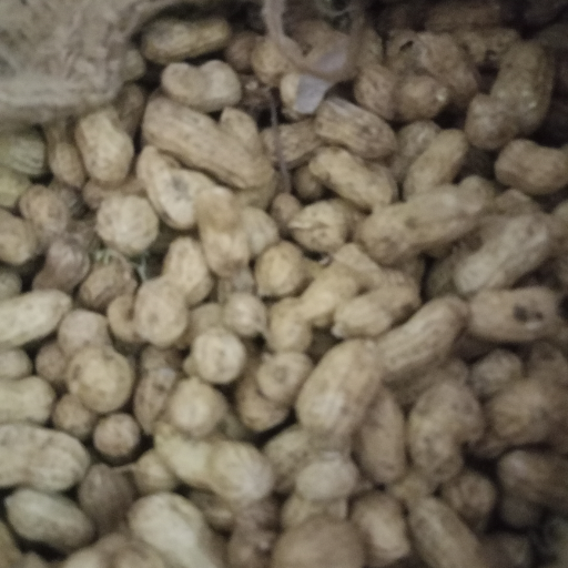 Nuts-https://media.vyaparify.com/vcards/products/269360/product_1748844053_683d3e1565db3.png Image