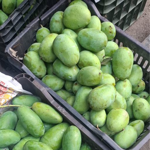 Fruit-https://media.vyaparify.com/vcards/products/277602/product_1749108299_6841464b3e0f6.png Image