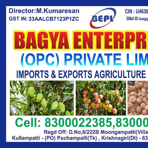 Mango-https://media.vyaparify.com/vcards/products/278407/product_1749120430_684175ae731a9.png Image