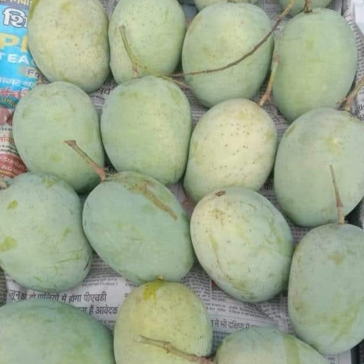 Fruit-https://media.vyaparify.com/vcards/products/279926/product_1749199846_6842abe69f1d8.png Image