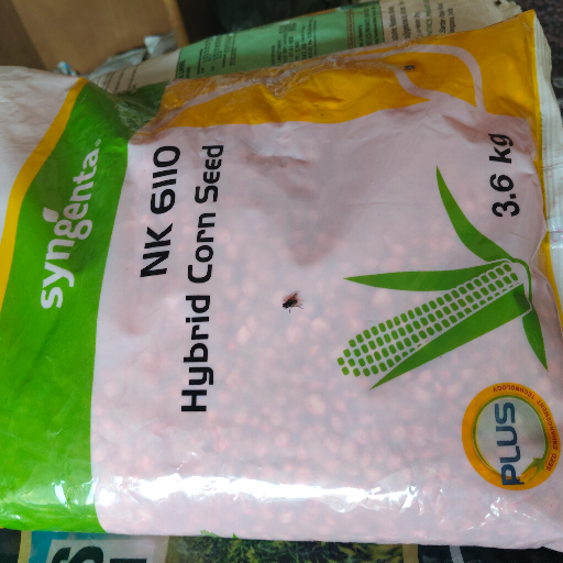 Hybrid corn seed-https://media.vyaparify.com/vcards/products/284626/product_1749299707_684431fb8815d.png Image
