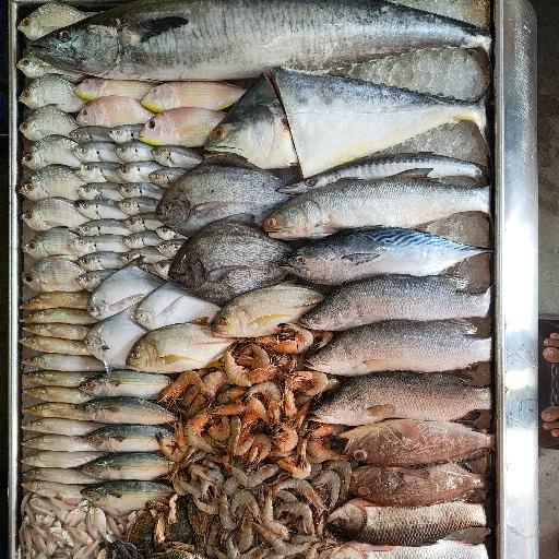 Fish-https://media.vyaparify.com/vcards/products/284649/product_1749304470_68444496e986d.png Image