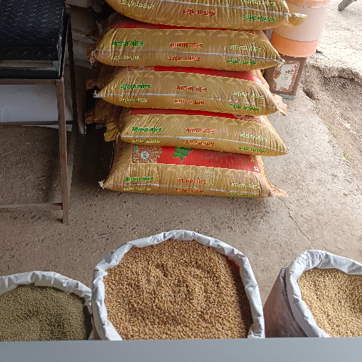  Wheat (per quintal) SAMARTH TRADERS Samarth Traders  Market Yard  Shevgaon Near Borude Trading