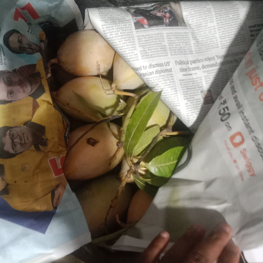 Mango-https://media.vyaparify.com/vcards/products/288993/product_1749816893_684c163db6274.png Image