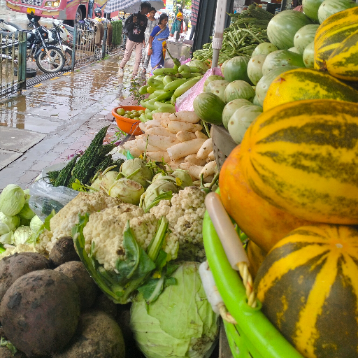 Vegitables-https://media.vyaparify.com/vcards/products/294285/product_1750156410_6851447a54d6a.png Image