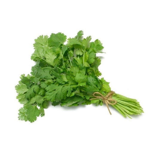 Coriander BHOLENATH FAL SABJI VIKRETA WING NO 1 SHOP NO  36 SAVINA SABJI  MANDI