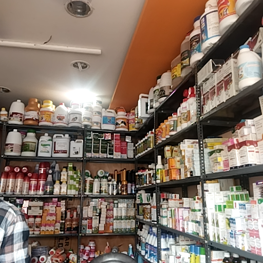 Medical-https://media.vyaparify.com/vcards/products/306366/product_1752648558_68774b6eaa12e.png Image