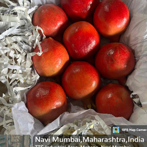 Fruits-https://media.vyaparify.com/vcards/products/316256/product_1753777988_68888744b8479.png Image