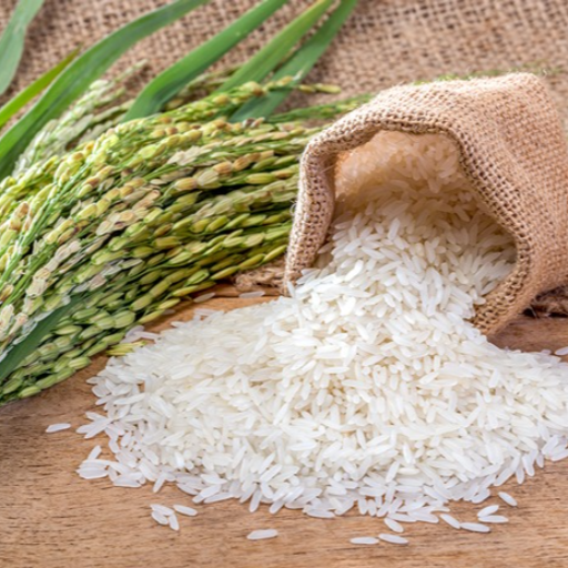 All types of rice-https://media.vyaparify.com/vcards/products/325360/product_1754903873_6899b541d8337.png Image