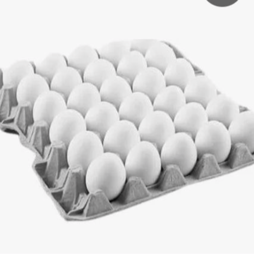 Eggs-https://media.vyaparify.com/vcards/products/334868/product_1756120426_68ac456a9e6ec.png Image