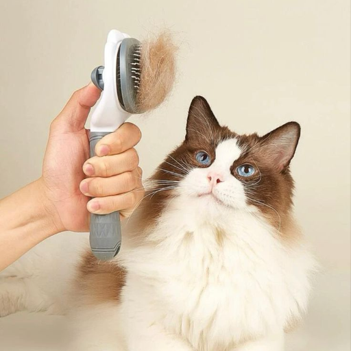 Pet's Comb-https://media.vyaparify.com/vcards/products/336937/product_1756415561_68b0c6492ed99.png Image