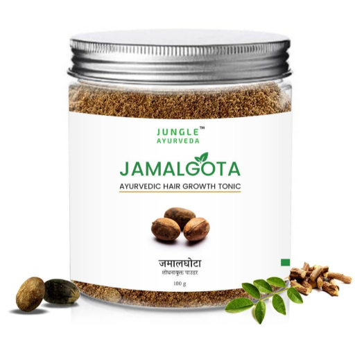  Jamalgota powder for hair regrowth JUNGLE AYURVEDA 5TH FLOOR FLAT NO 503 PLOT NO 65 66 81 82 JVJ DREAM RESIDENCY JAGATPURA JAIPUR RAJ 302025 LANDMARK Near DMart