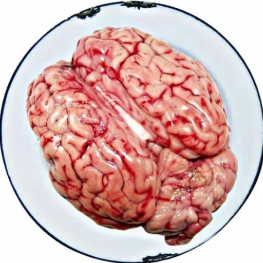 Brain-https://media.vyaparify.com/vcards/products/345611/product_1757358269_68bf28bde2e86.png Image