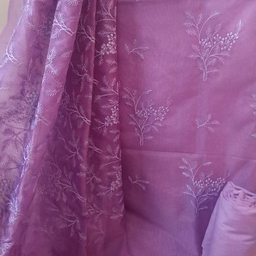 Banarsi Organza Collection-https://media.vyaparify.com/vcards/products/352058/product_1757942118_68c8116644124.png Image