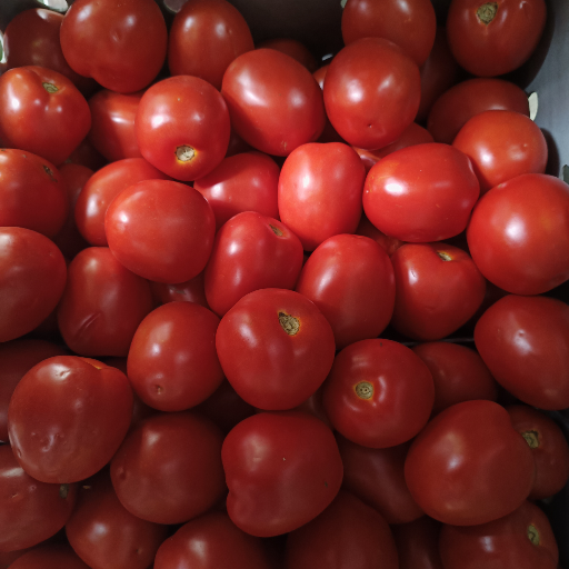  Tomato Hybrid 1 kg SONA PROVISION STORE NO 86 5TH CROSSSHAMANNA LAYOUTLINGARAJAPURAM