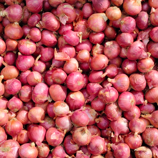 Onion  vegetables-https://media.vyaparify.com/vcards/products/365831/product_1758952534_68d77c56a4996.png Image
