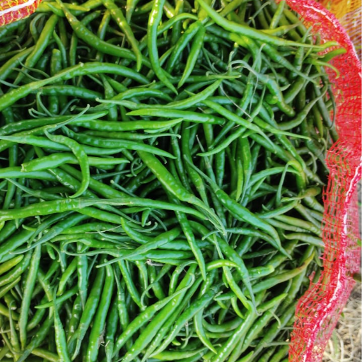 Green chilli-https://media.vyaparify.com/vcards/products/365833/product_1758952694_68d77cf671480.png Image
