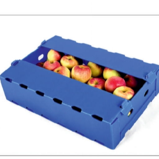 Pp sheet-https://media.vyaparify.com/vcards/products/365919/product_1758963588_68d7a784c2c12.png Image