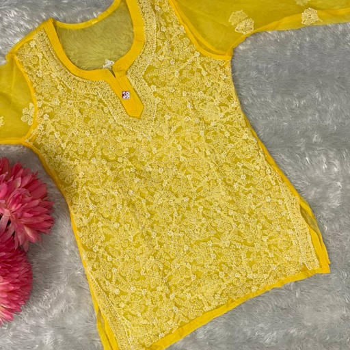 GEORGETTE JAAL WORK SHORT TOP.-https://media.vyaparify.com/vcards/products/366121/product_1758990890_68d8122aad8f6.png Image