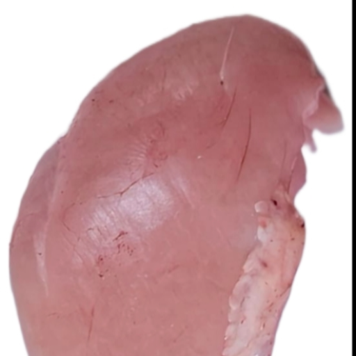  Chicken chest boneless ALI CHICKEN B 9 58 BHELUPUR GAURIGNAJ VARANASI VARANASI UTTAR PRADESH 221005 221005 LANDMARK Hotel Broadway