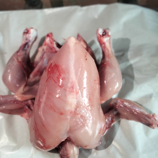 Whole chicken small size-https://media.vyaparify.com/vcards/products/366727/product_1759067187_68d93c33e796b.png Image