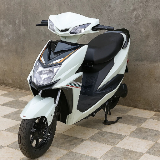  CORNY Company's electric scooty VADLA JAREENA BANU 13 114 1 CHUNNAMBATTI STREET YEMMIGANUR YEMMIGANUR KURNOOL NEAR PEDDA KAMELA LANDMARK YEMMIGANUR