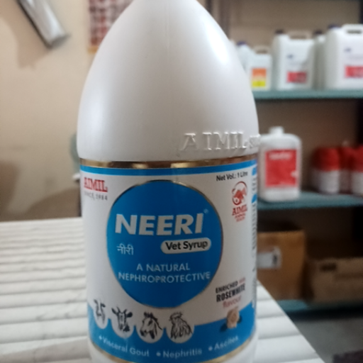 Neeri-https://media.vyaparify.com/vcards/products/368939/product_1759318105_68dd1059e6e7e.png Image