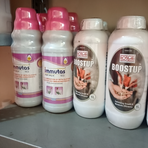  Immunetas/ boost up RONAK POULTRY HUB BLOCK C3 DELHI ROAD MAVI KALAN BRANCH POST DELHI ROAD SAHARANPUR SAHARANPUR UTTAR  ROAD MAVI KALAN BRANCH POST DELHI ROAD SAHARANPUR SAHARANPUR UTTAR