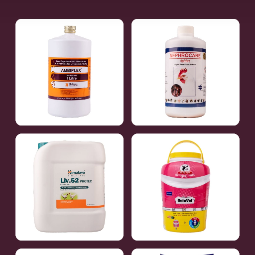  Mix RONAK POULTRY HUB BLOCK C3 DELHI ROAD MAVI KALAN BRANCH POST DELHI ROAD SAHARANPUR SAHARANPUR UTTAR  ROAD MAVI KALAN BRANCH POST DELHI ROAD SAHARANPUR SAHARANPUR UTTAR