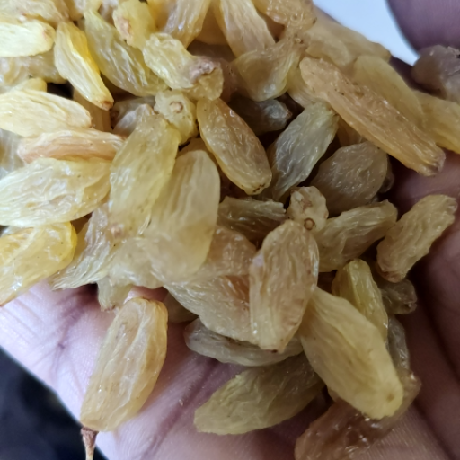 Long grain dry kismis-https://media.vyaparify.com/vcards/products/371010/product_1759565244_68e0d5bc026bc.png Image
