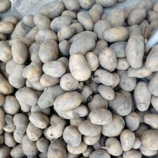 Farm fress potatos-https://media.vyaparify.com/vcards/products/371127/product_1759567092_68e0dcf4d529f.png Image