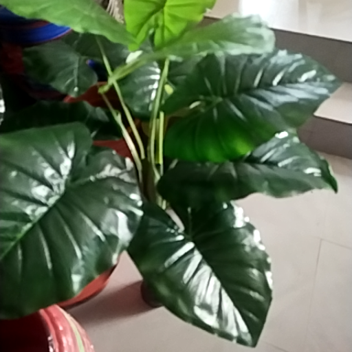 artificial mani plant tree-https://media.vyaparify.com/vcards/products/376449/product_1759918862_68e63b0e4a16d.png Image